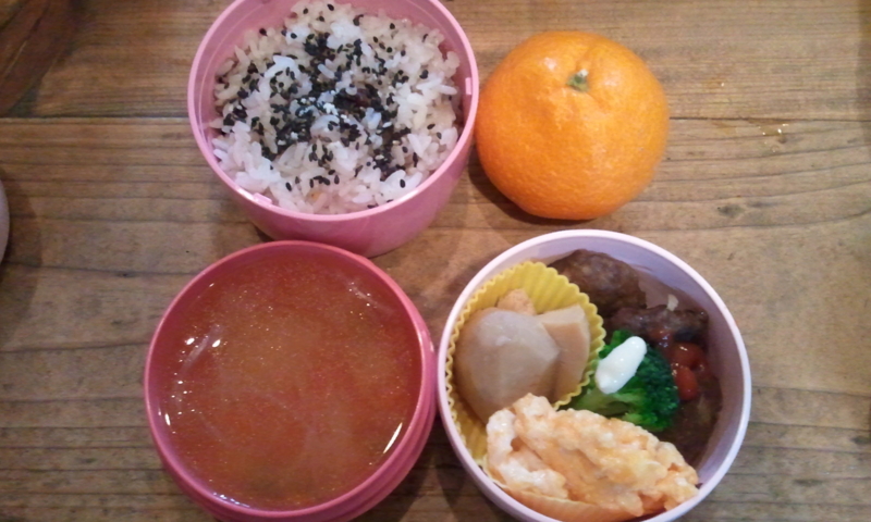 2012年1月20日ハンバーグ弁当