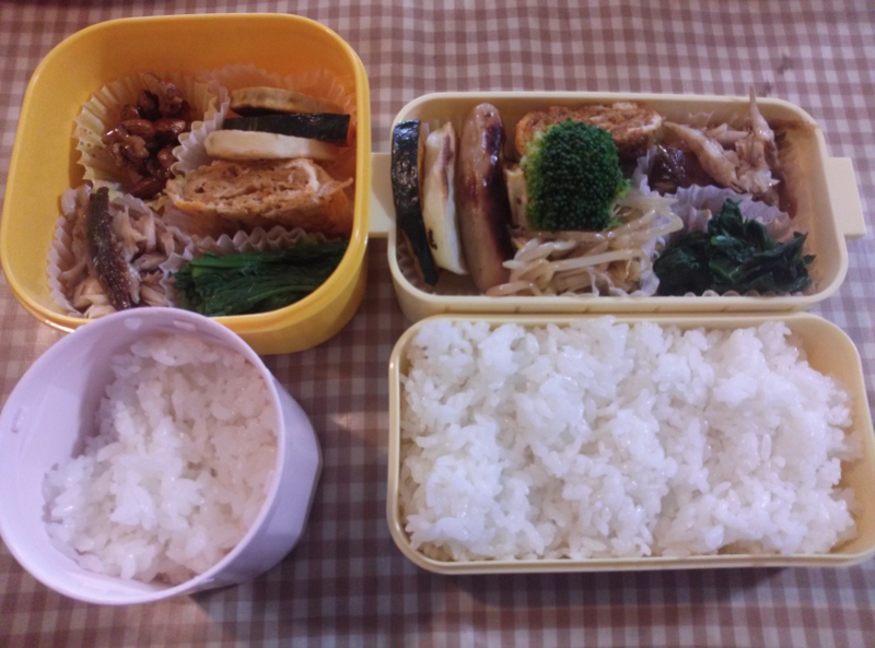 f:id:lucy3y:20151109072556j:image:w360