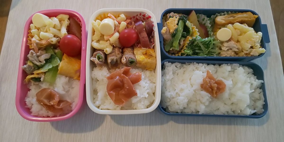 f:id:lucy3y:20190416065130j:plain