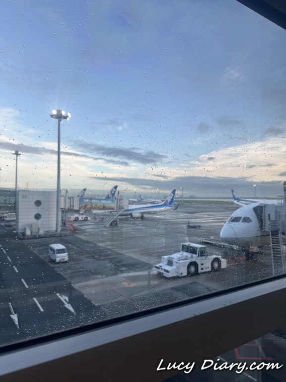 雨が上がった羽田空港
