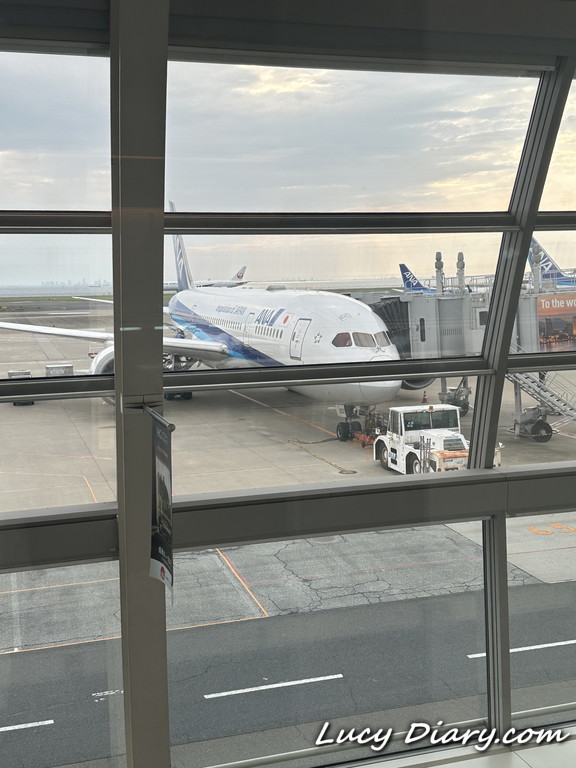 ANA修行1日目に乗る飛行機