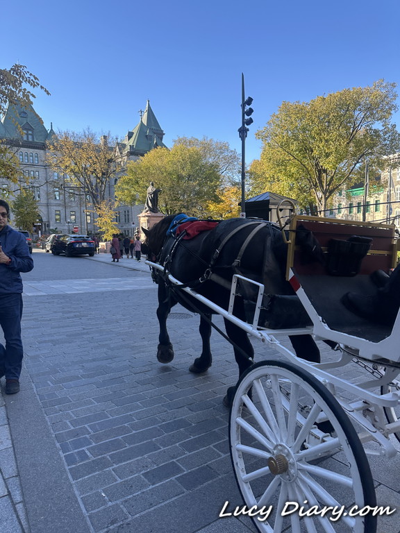 馬車がいました