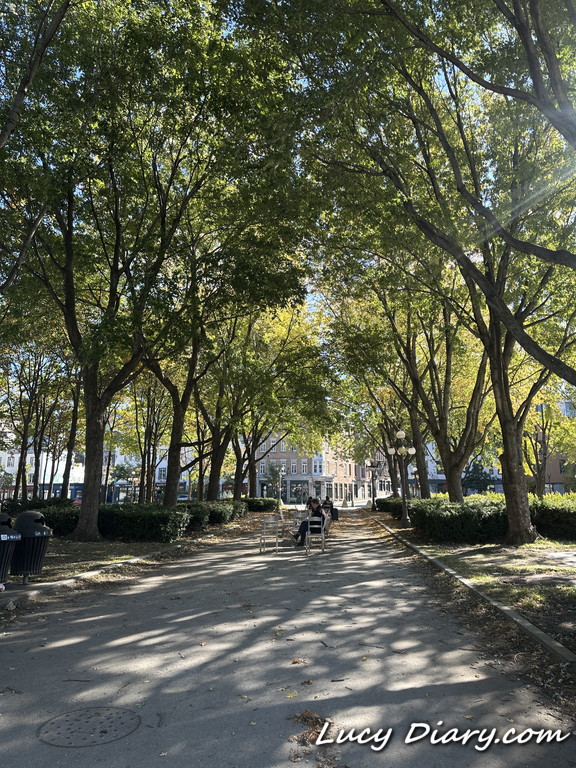 公園をぬけてパレ駅に向かいます