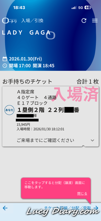 2026GAGA様ライブチケット