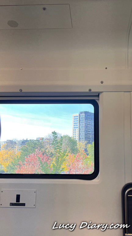 車窓からの眺め