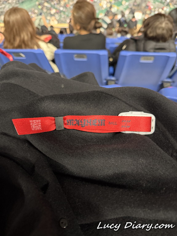 2026年ガガ様がライブのリストバンド